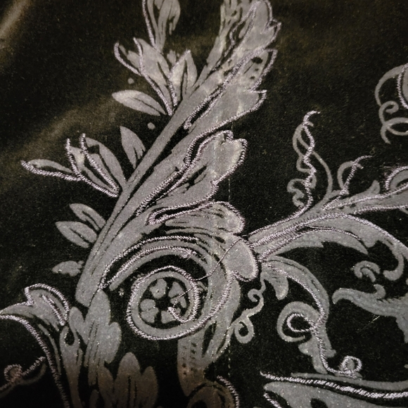 Eivissa Black Velvet Button Up Blazer with Stunning Embroidery! Size Large - Picture 8 of 10